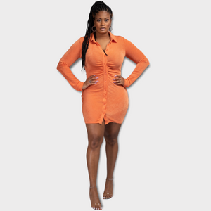 Ms. Peaches Shirt Dress